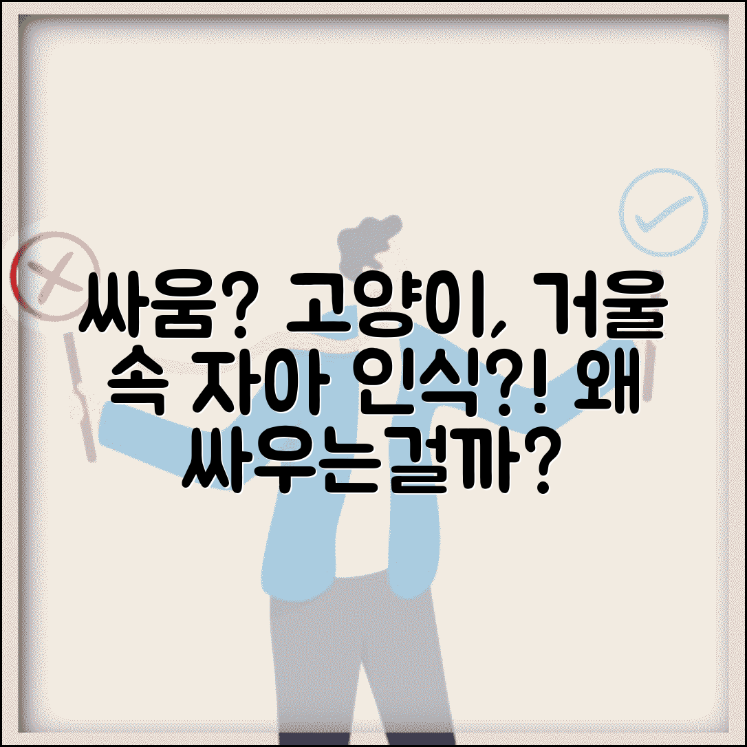 고양이가 거울 보고 싸우는 행동 하는 이유가 뭔가요 | 고양이 거울 | 자아인식 | 반응