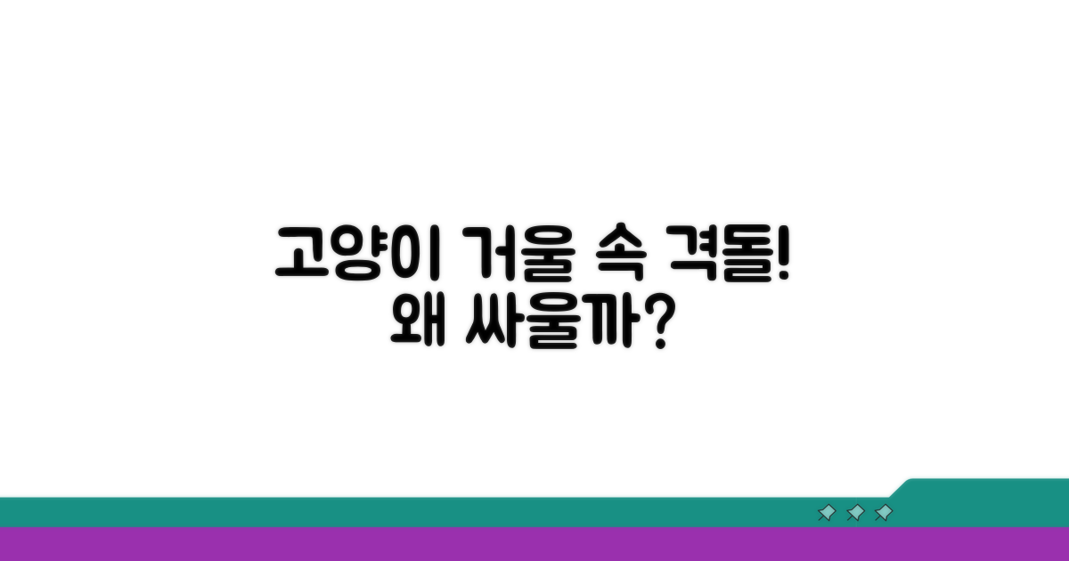 고양이 거울 속 모습, 왜 싸우는 걸까요?