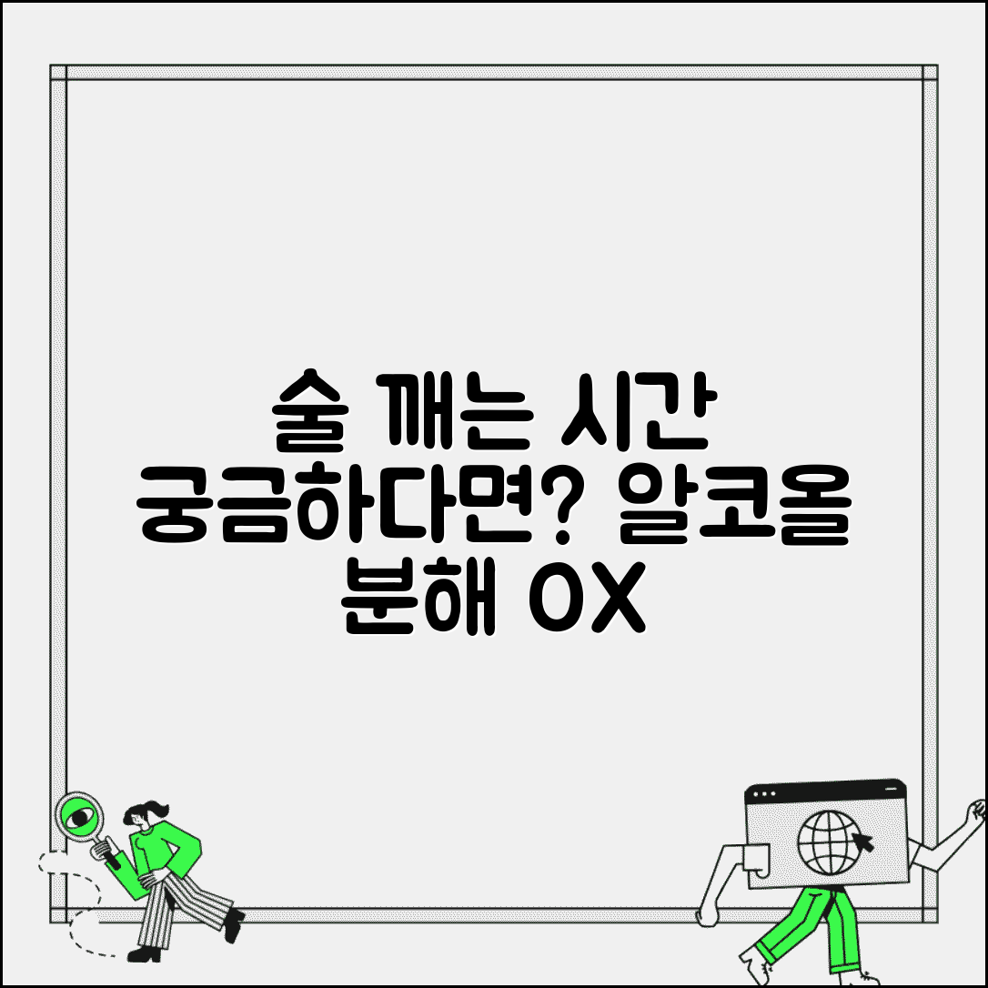 알코올 분해 시간 술 깨는 시간 | 알코올 대사 소요 시간