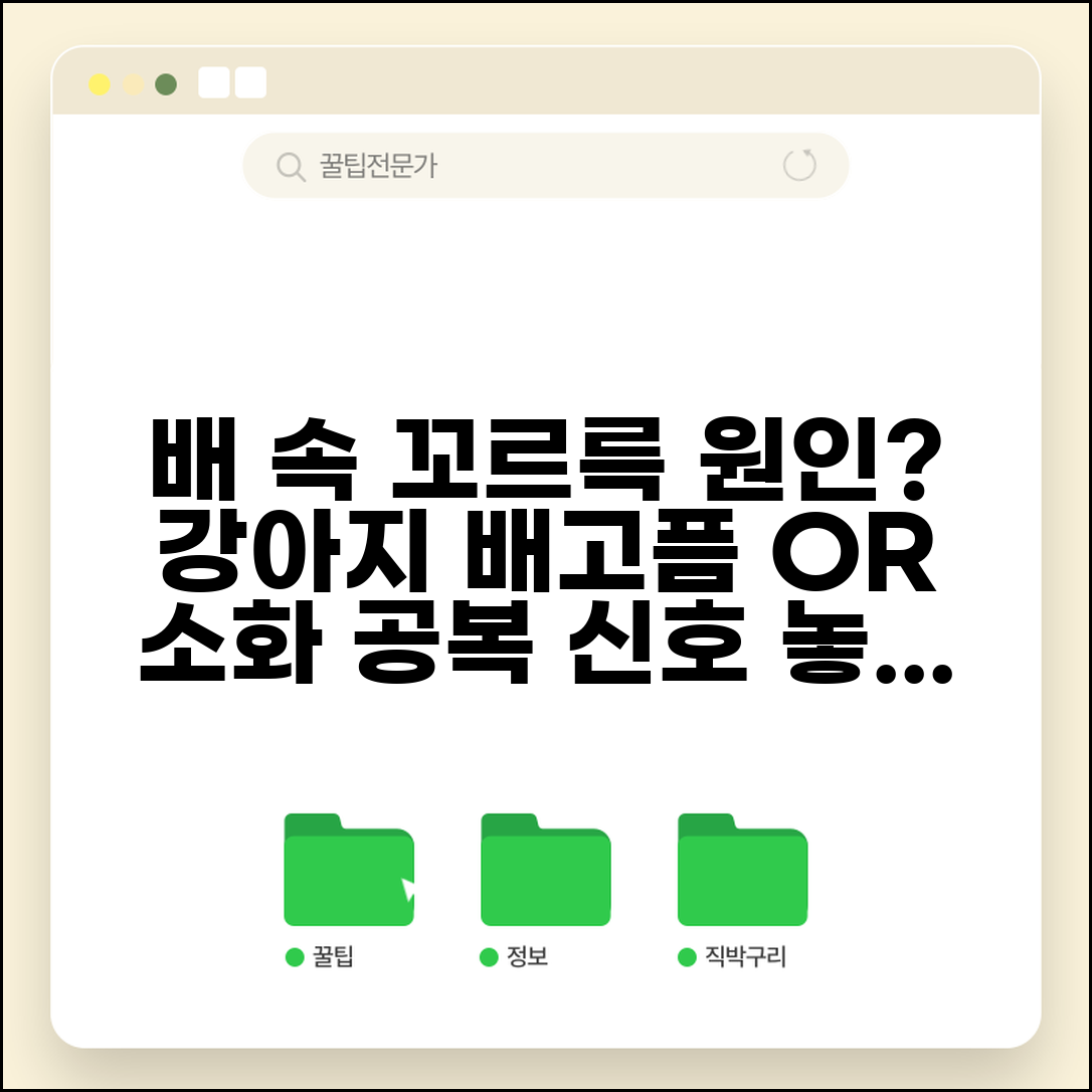 강아지 배에서 소리 나는게 배고파서 그런가요 | 강아지 복명 | 소화 | 공복