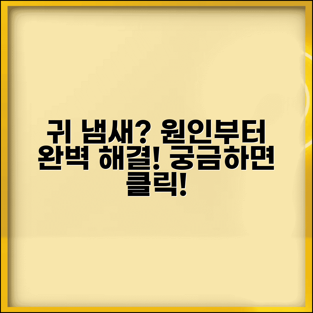 귀 냄새 나는 이유 완벽정리 총정리 | 귓속 귀지 냄새 원인 해결