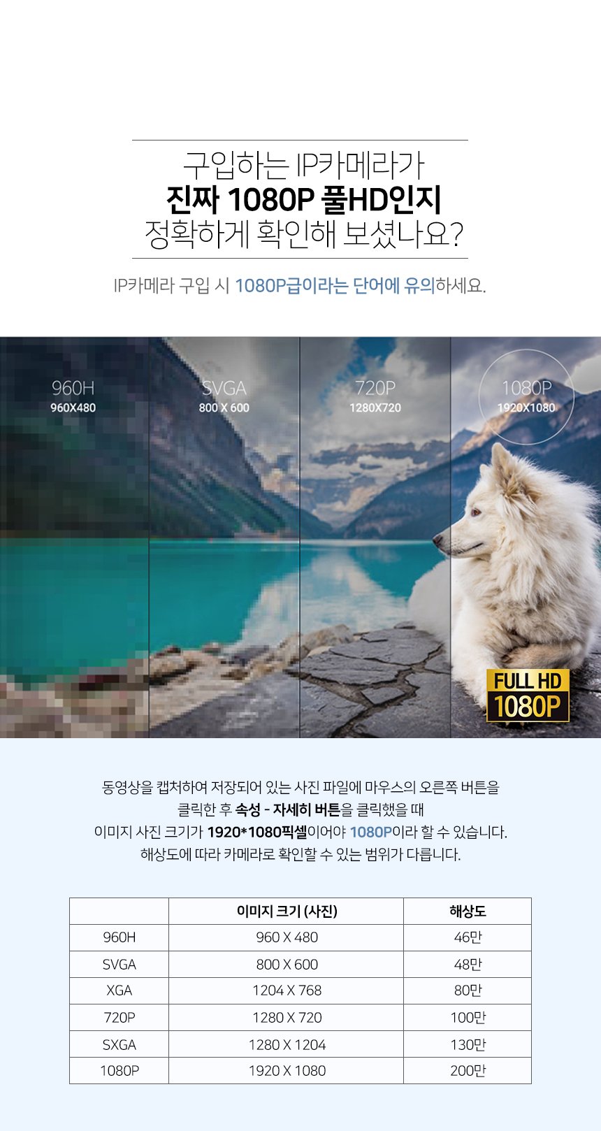 글로벌아이넷 로보뷰G 홈 IP 카메라 홈캠 CCTV 3.6mm200만화소 128GB 상세 이미지 2